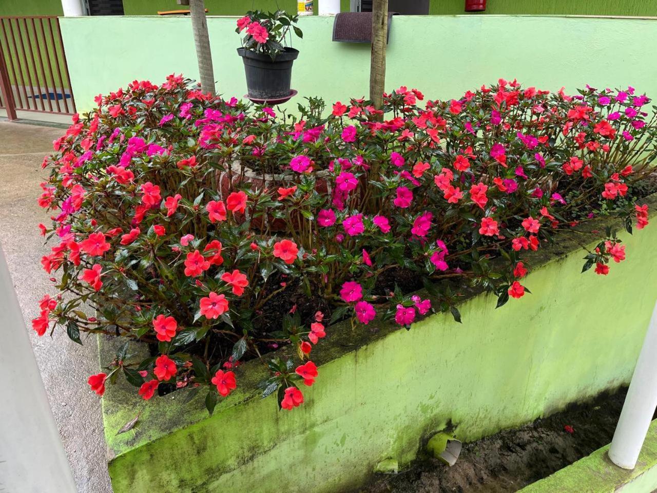 Pesqueiro Restaurante E Pousada Pingo De Ouro Piedade  Bagian luar foto
